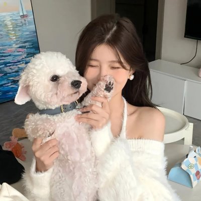 战地飘零燕