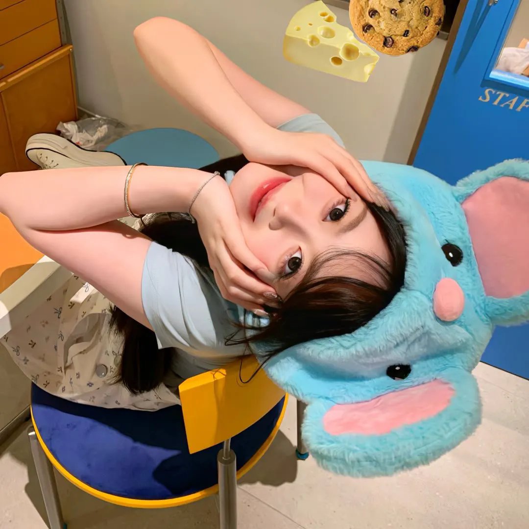 菜鸟先生